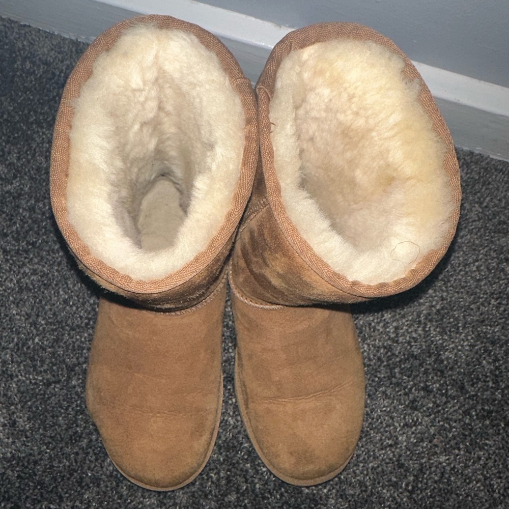 CLASSIC SHORT UGG (CHESTNUT) - Picture 7 of 8